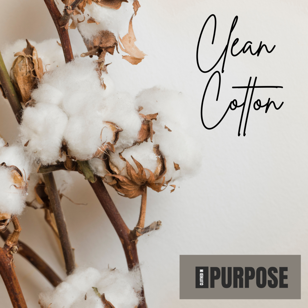 Why Organic Cotton Matters: A Healthier Choice for You and the Planet